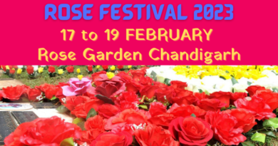 Rose Festival_Chandigarh_Rosegarden