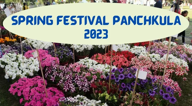 Spring festival_Panchkula_march_2023